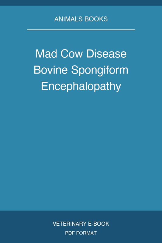 Mad Cow Disease Bovine Spongiform Encephalopathy
