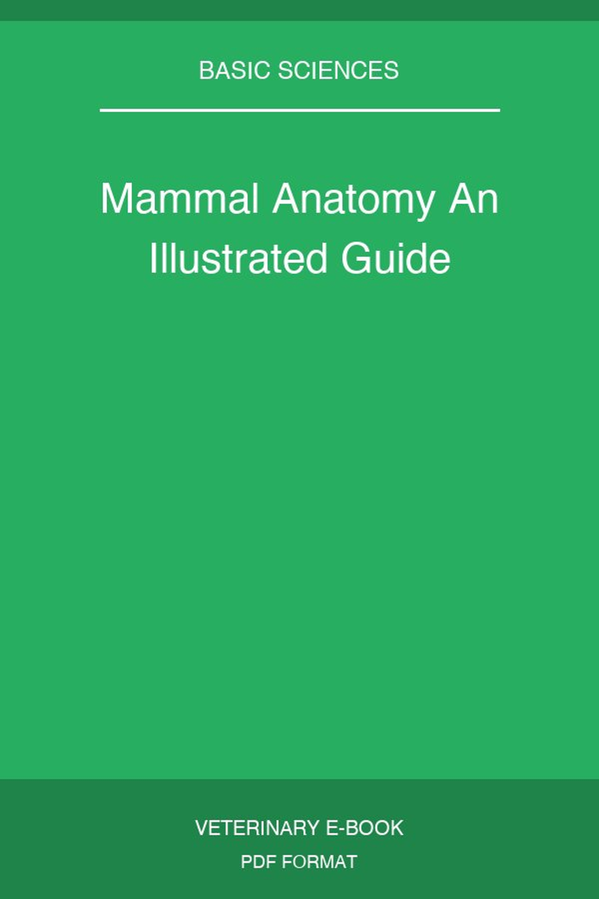Mammal Anatomy An Illustrated Guide