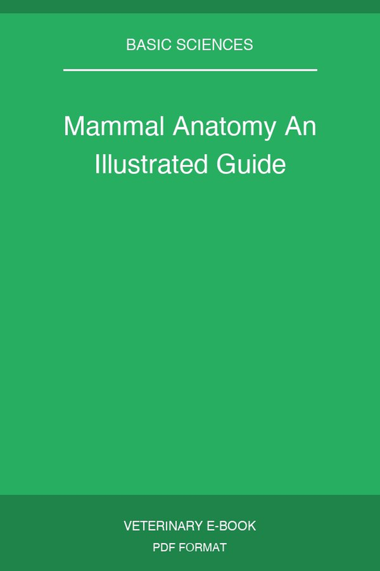 Mammal Anatomy An Illustrated Guide