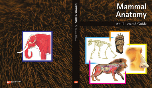 Mammal Anatomy An Illustrated Guide