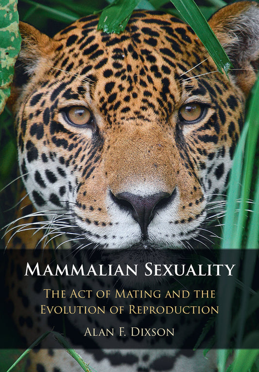 Mammalian Sexuality The Act Of Mating And The Evolution Of Reproduction