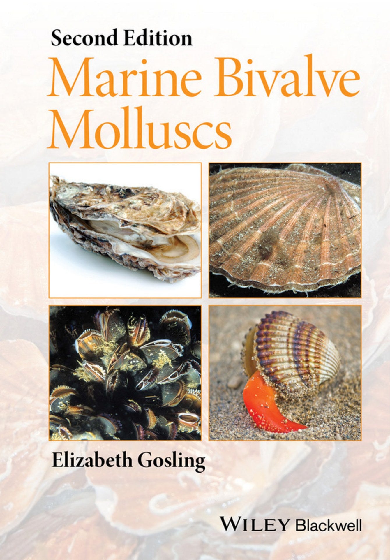 Marine Bivalve Molluscs 2Nd Edition