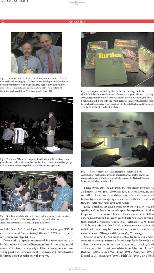 Medicine And Surgery Of Tortoises And Turtles