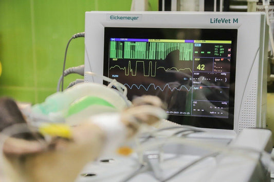 List Of Veterinary Equipment And Tools