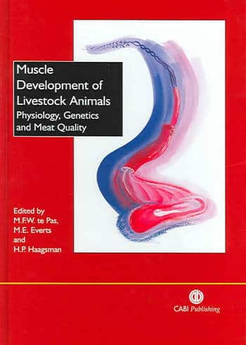 Muscle Development Of Livestock Animals Physiology Genetics And Meat Quality