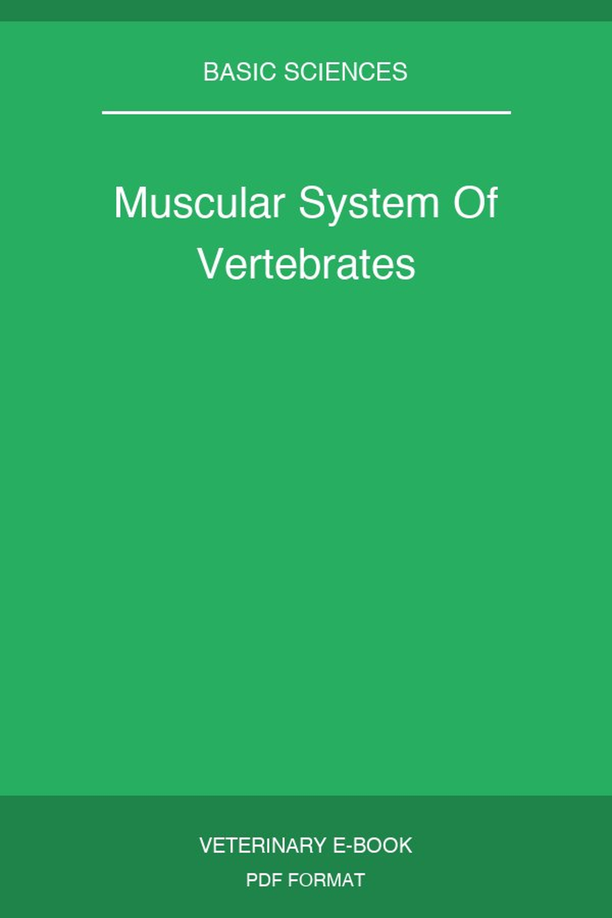 Muscular System Of Vertebrates