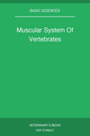 Muscular System Of Vertebrates