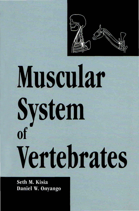 Muscular System Of Vertebrates