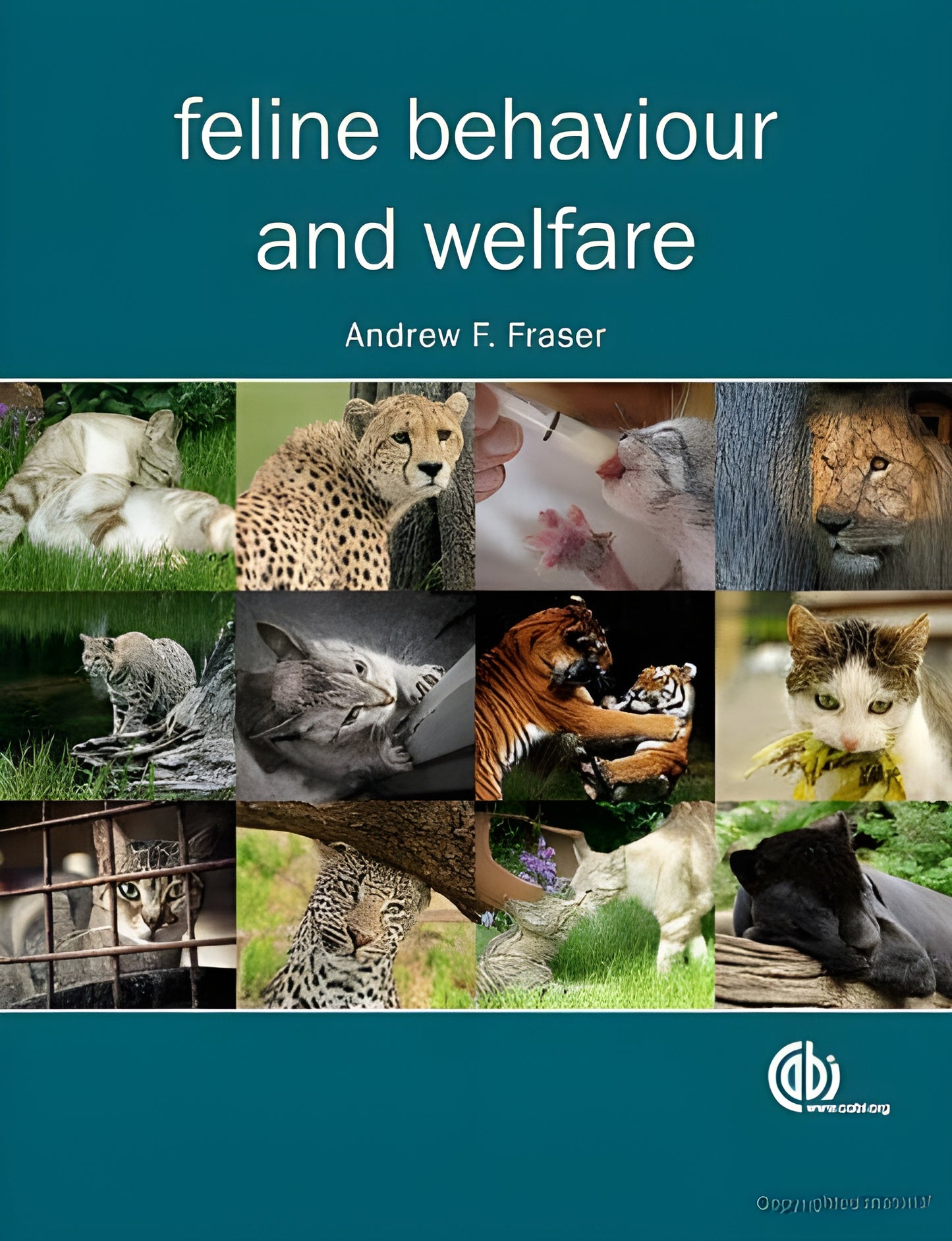 Feline Behaviour And Welfare