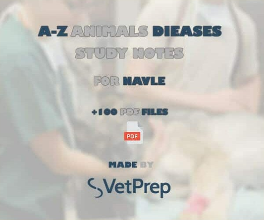 NAVLE Study Guide A-Z Animals Diseases 97 PDFs — cover (margins removed)