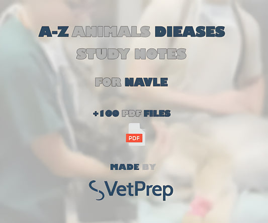 Navle Study Guide