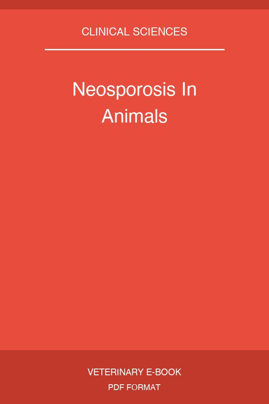 Neosporosis In Animals
