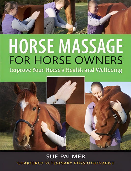 Horse Massage For Horse Owners Improve Your Horses Health And Wellbeing