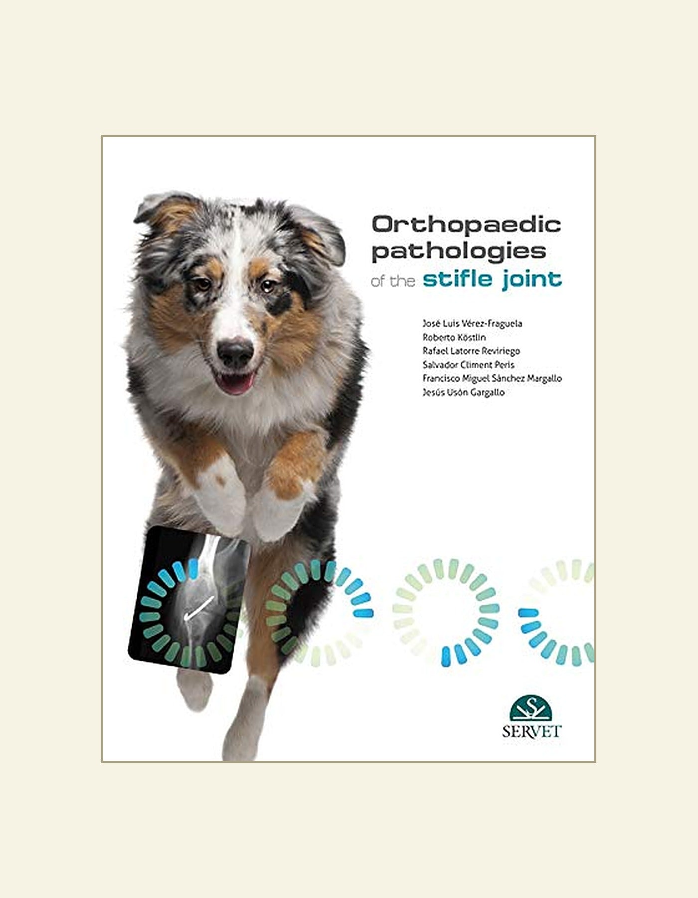Orthopaedic Pathologies Of The Stifle Joint — front cover