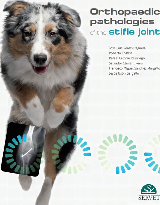 Orthopaedic Pathologies Of The Stifle Joint