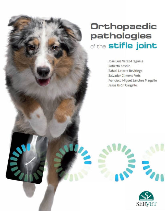 Orthopaedic Pathologies Of The Stifle Joint