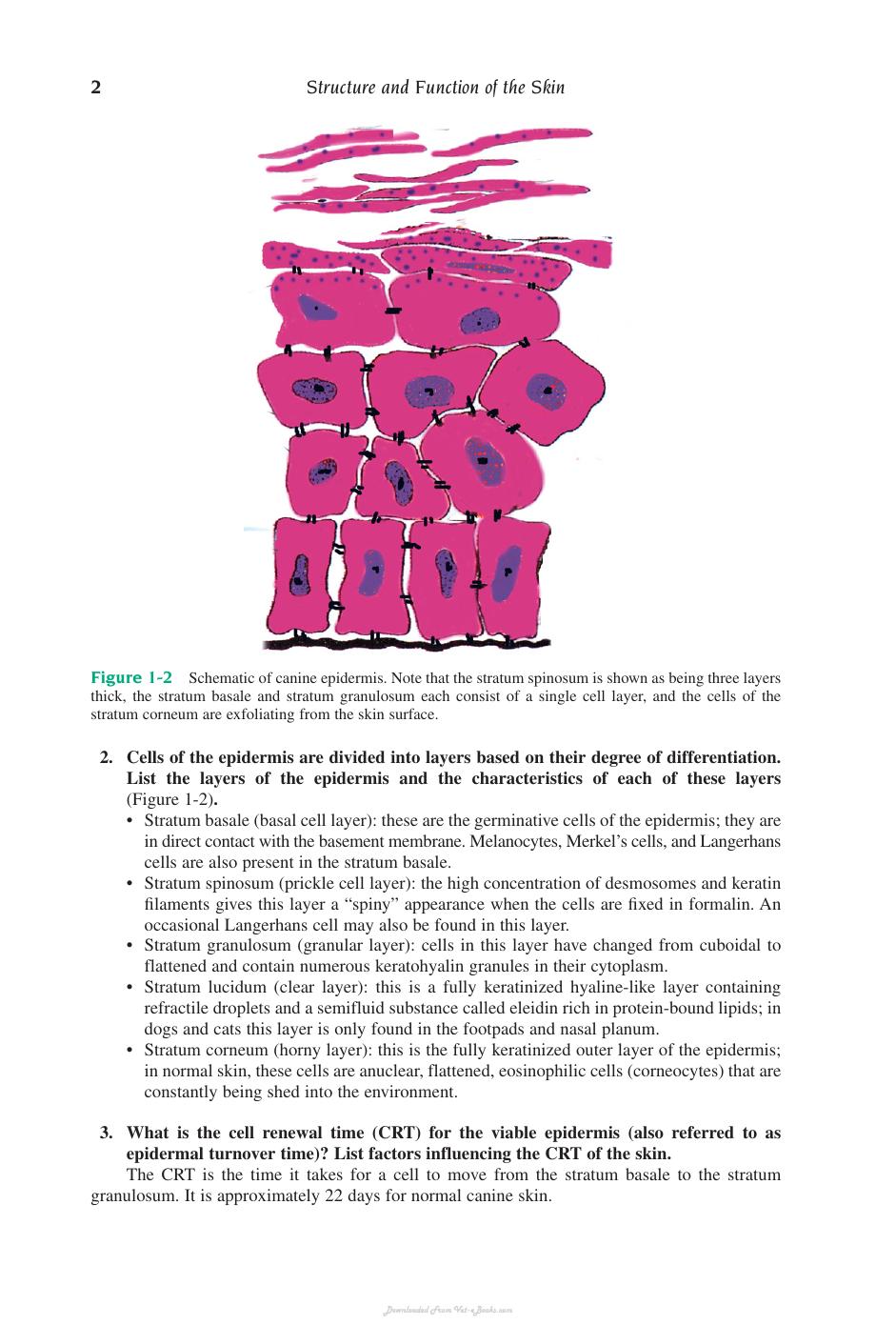 Small Animal Dermatology Secrets