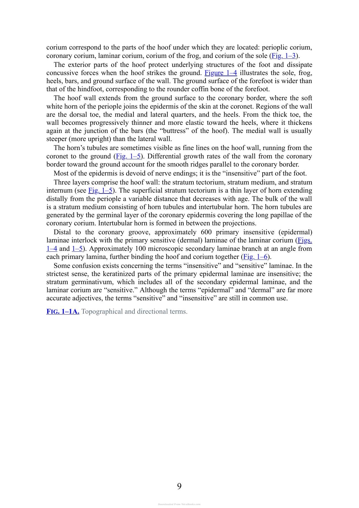 Practical Guide To Lameness In Horses 4Th Edition