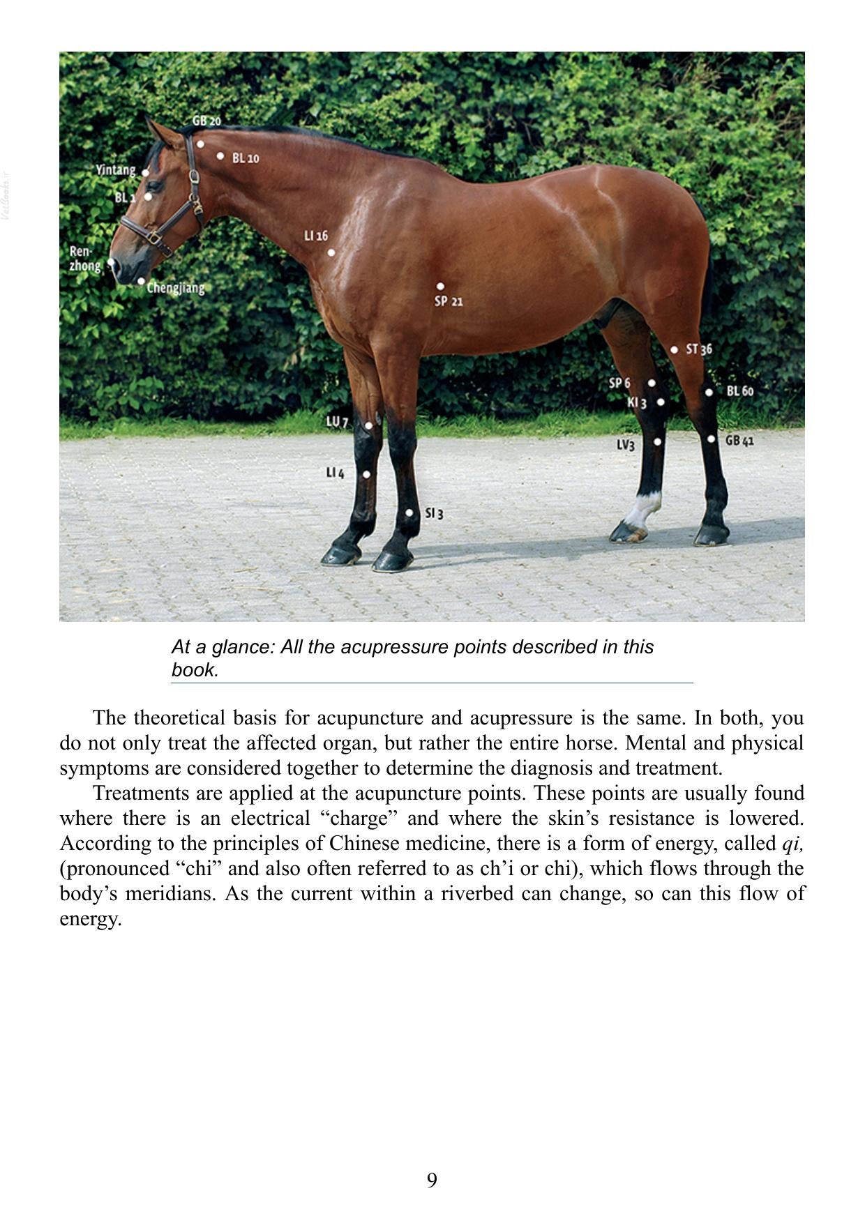 Acupressure for Horses Hands on Techniques to Solve Performance Problems and Ease Pain and Discomfort Pdf