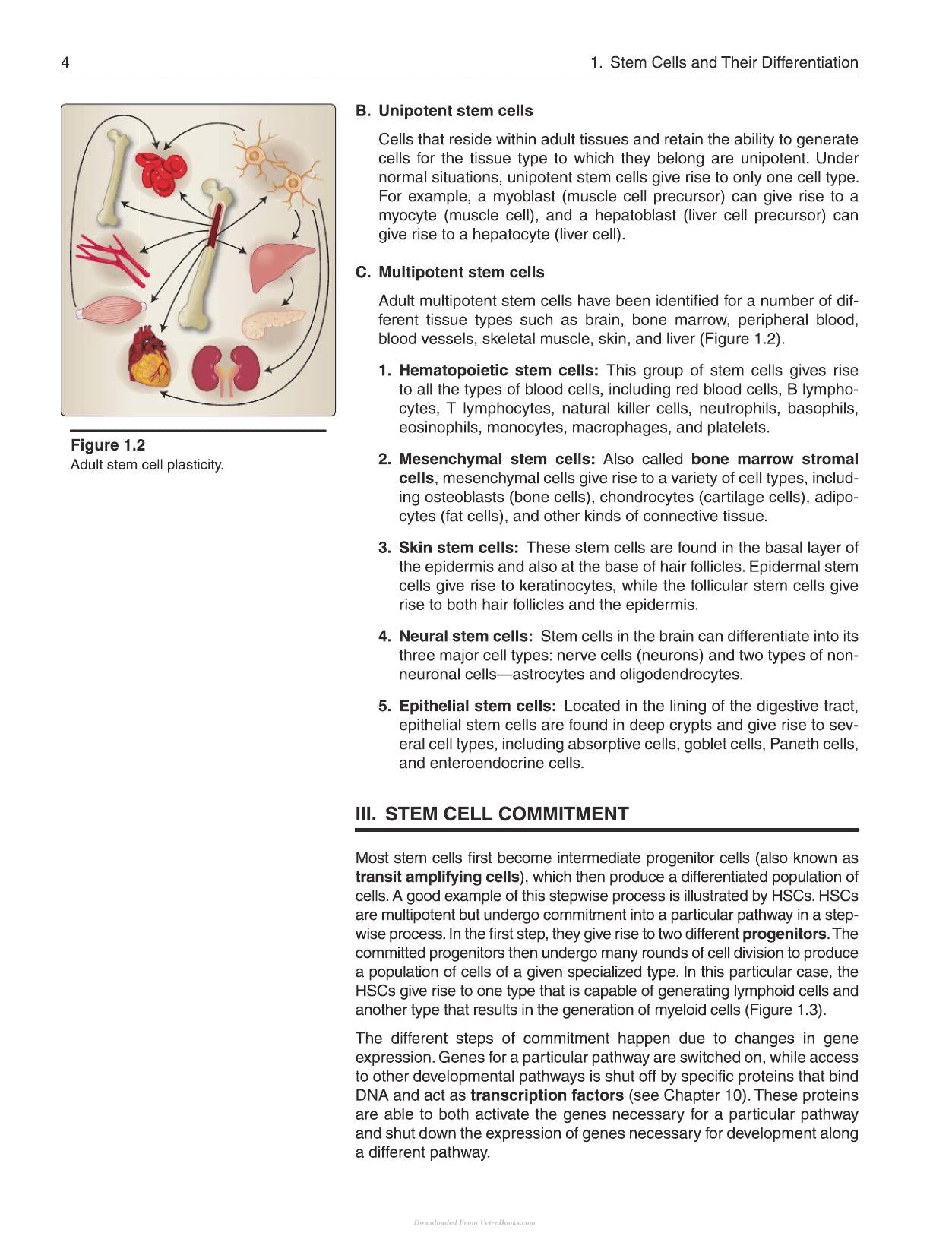 Lippincott Illustrated Reviews Cell and Molecular Biology 2nd Edition