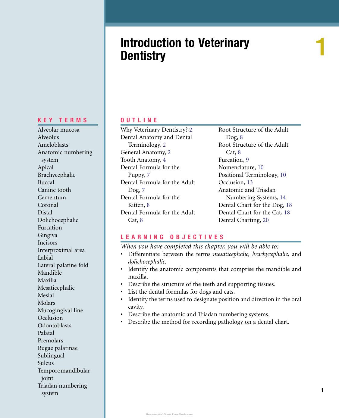 Veterinary Dentistry A Team Approach 2Nd Edition