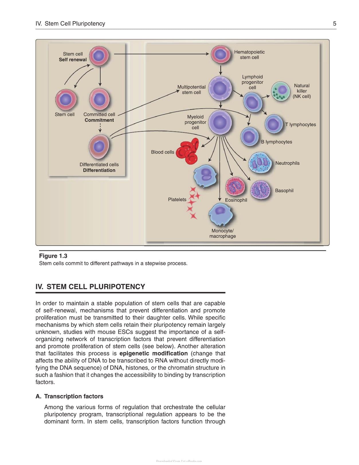 Lippincott Illustrated Reviews Cell and Molecular Biology 2nd Edition