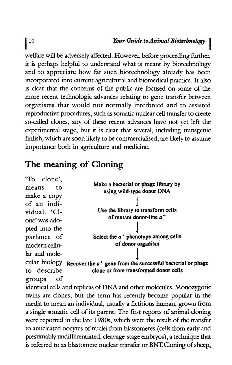 Your Guide to Animal Bio Technology