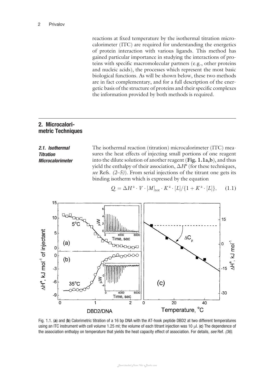 Protein Structure Stability and Interactions