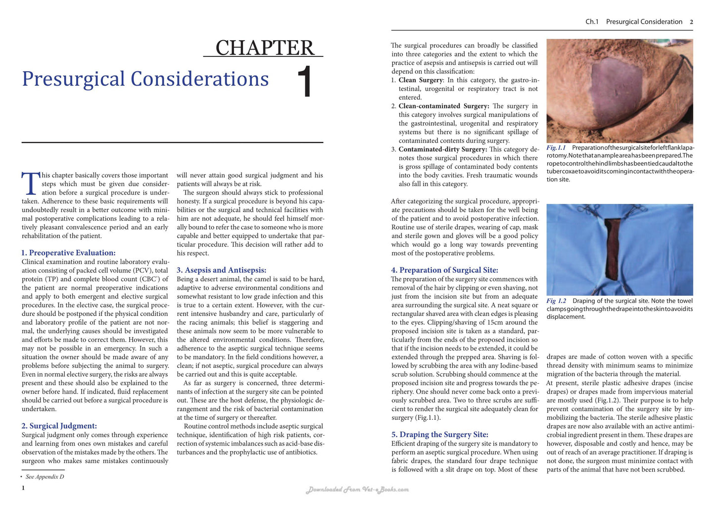 A Guide Book Of Camel Surgery