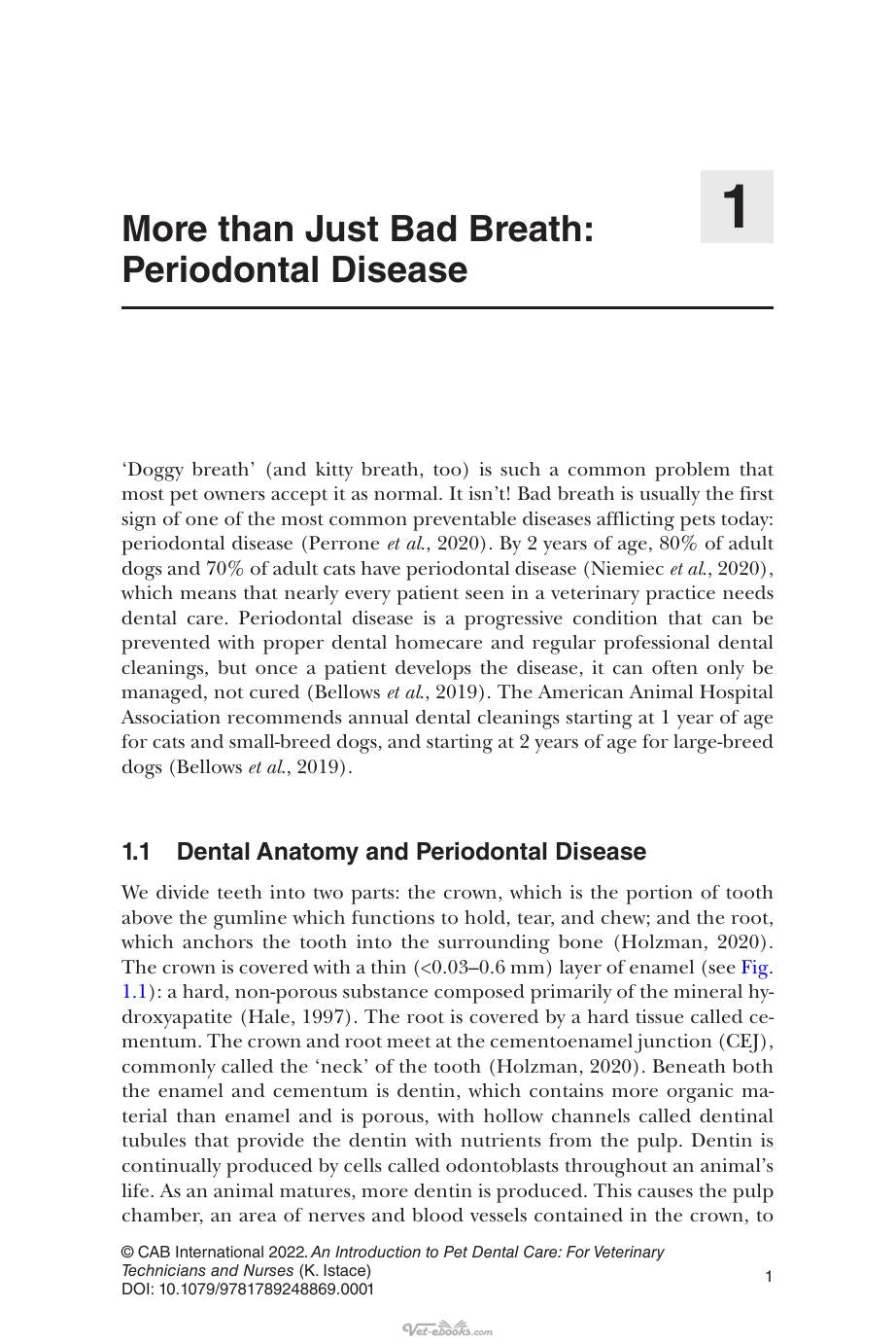 An Introduction to Pet Dental Care for Veterinary Nurses and Technicians