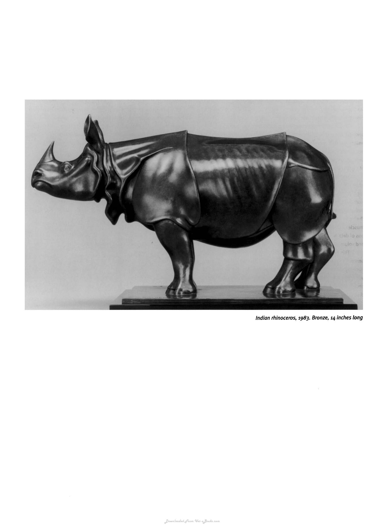 Animal Anatomy For Artists The Elements Of Form