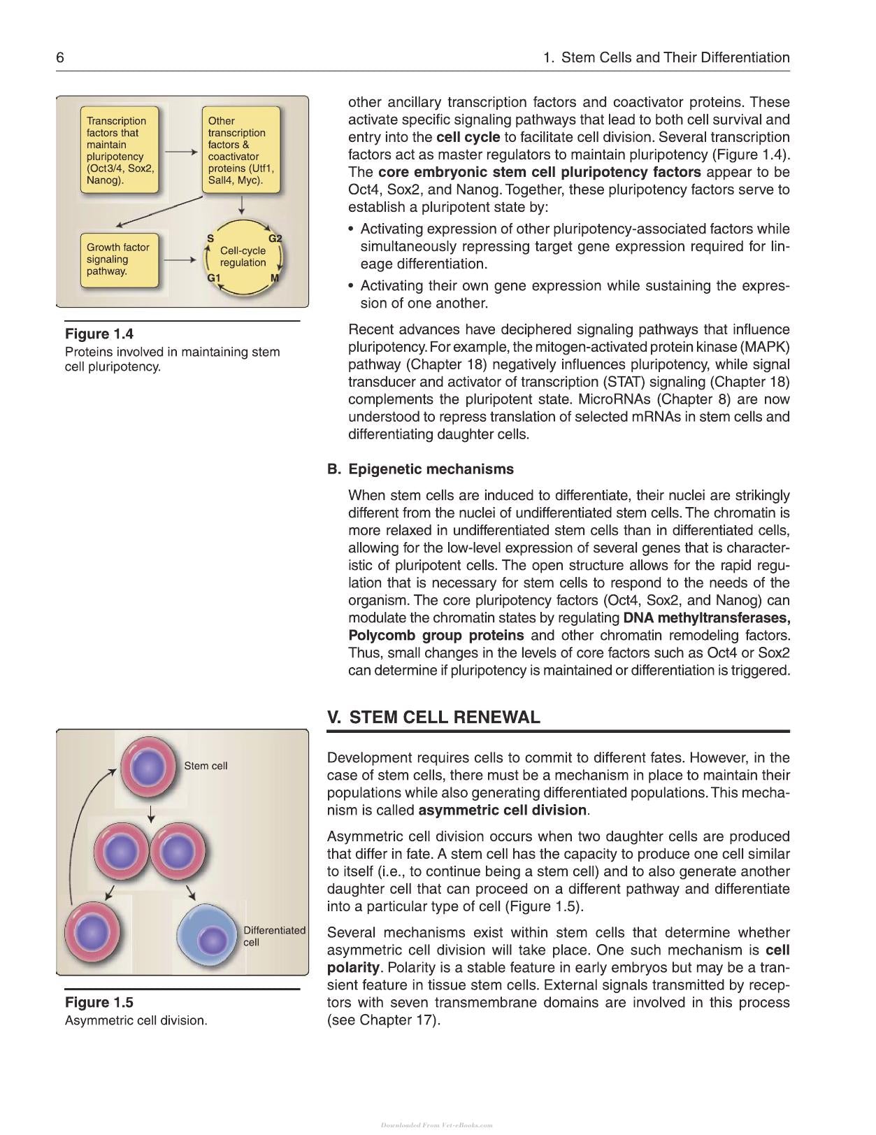 Lippincott Illustrated Reviews Cell and Molecular Biology 2nd Edition