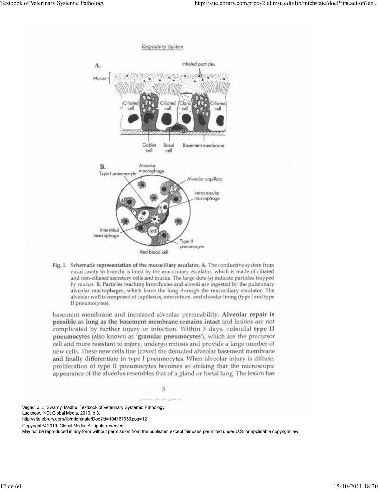 A Textbook of Veterinary Systemic Pathology