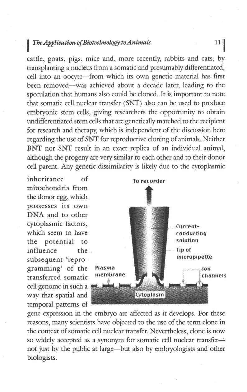 Your Guide to Animal Bio Technology