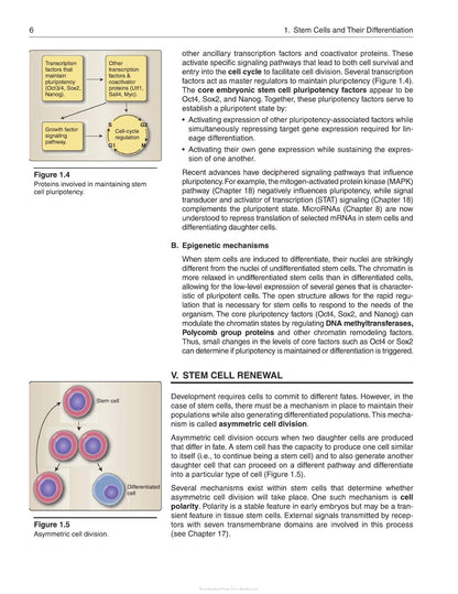 Lippincott Illustrated Reviews Cell and Molecular Biology 2nd Edition