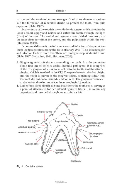 An Introduction to Pet Dental Care for Veterinary Nurses and Technicians