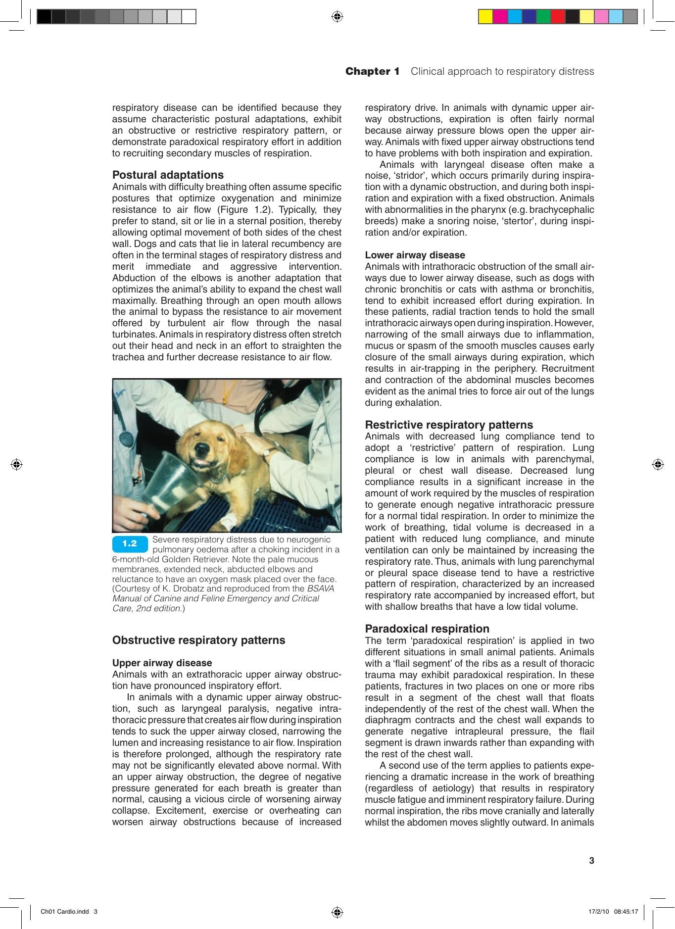 Bsava Manual of Canine and Feline Cardiorespiratory Medicine 2nd Edition