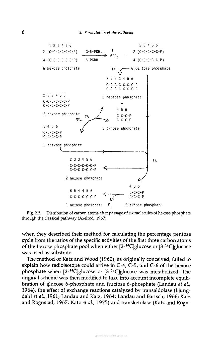 The Pentose Phosphate Pathway Terry Wood