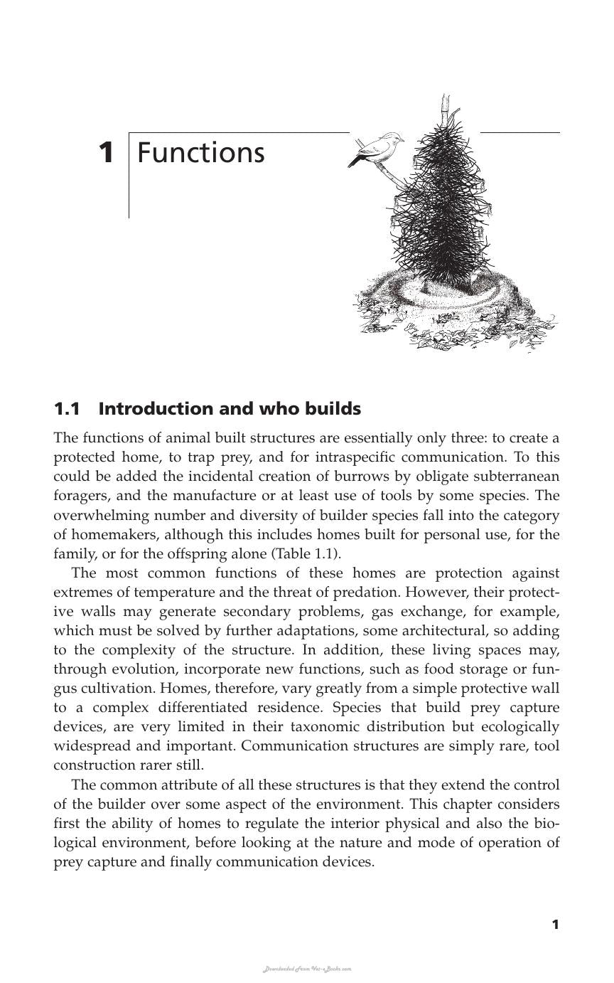 Animal Architecture