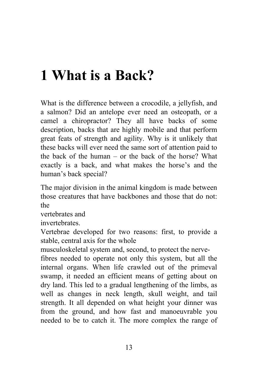 Understanding The Horses Back
