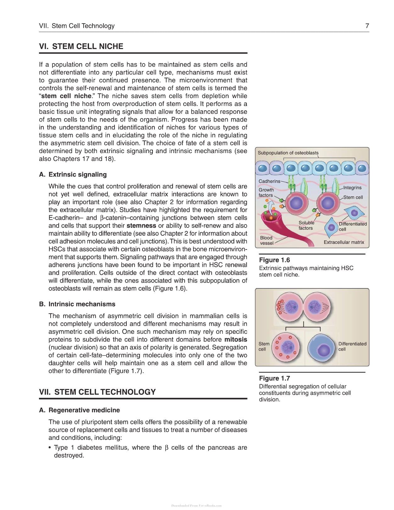 Lippincott Illustrated Reviews Cell and Molecular Biology 2nd Edition