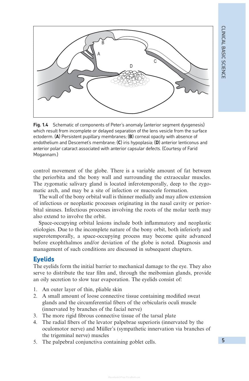 Small Animal Ophthalmology 4Th Edition