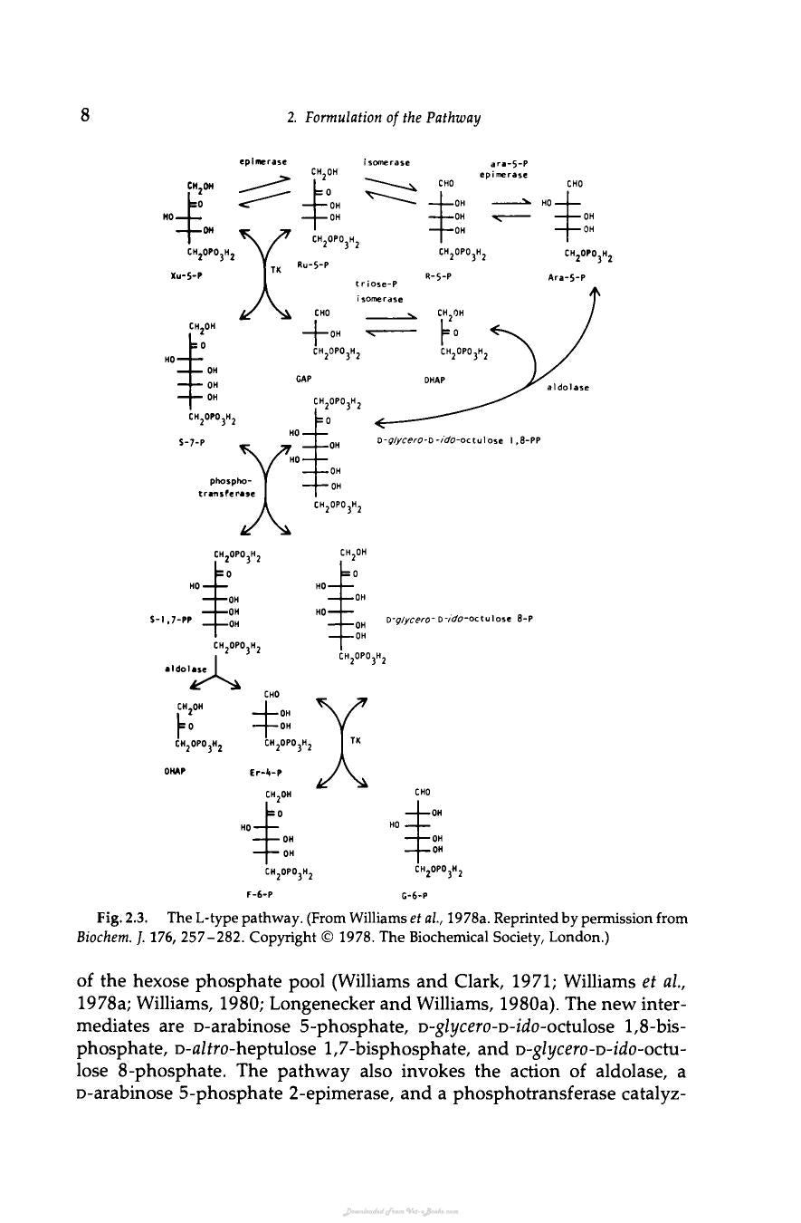The Pentose Phosphate Pathway Terry Wood