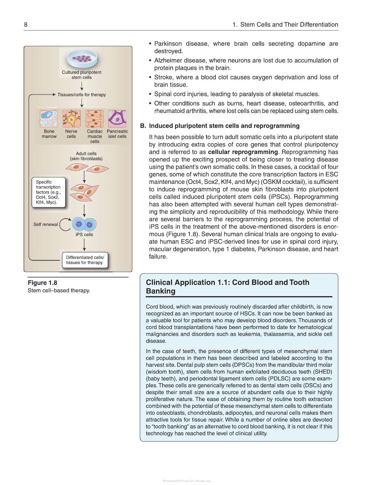Lippincott Illustrated Reviews Cell and Molecular Biology 2nd Edition