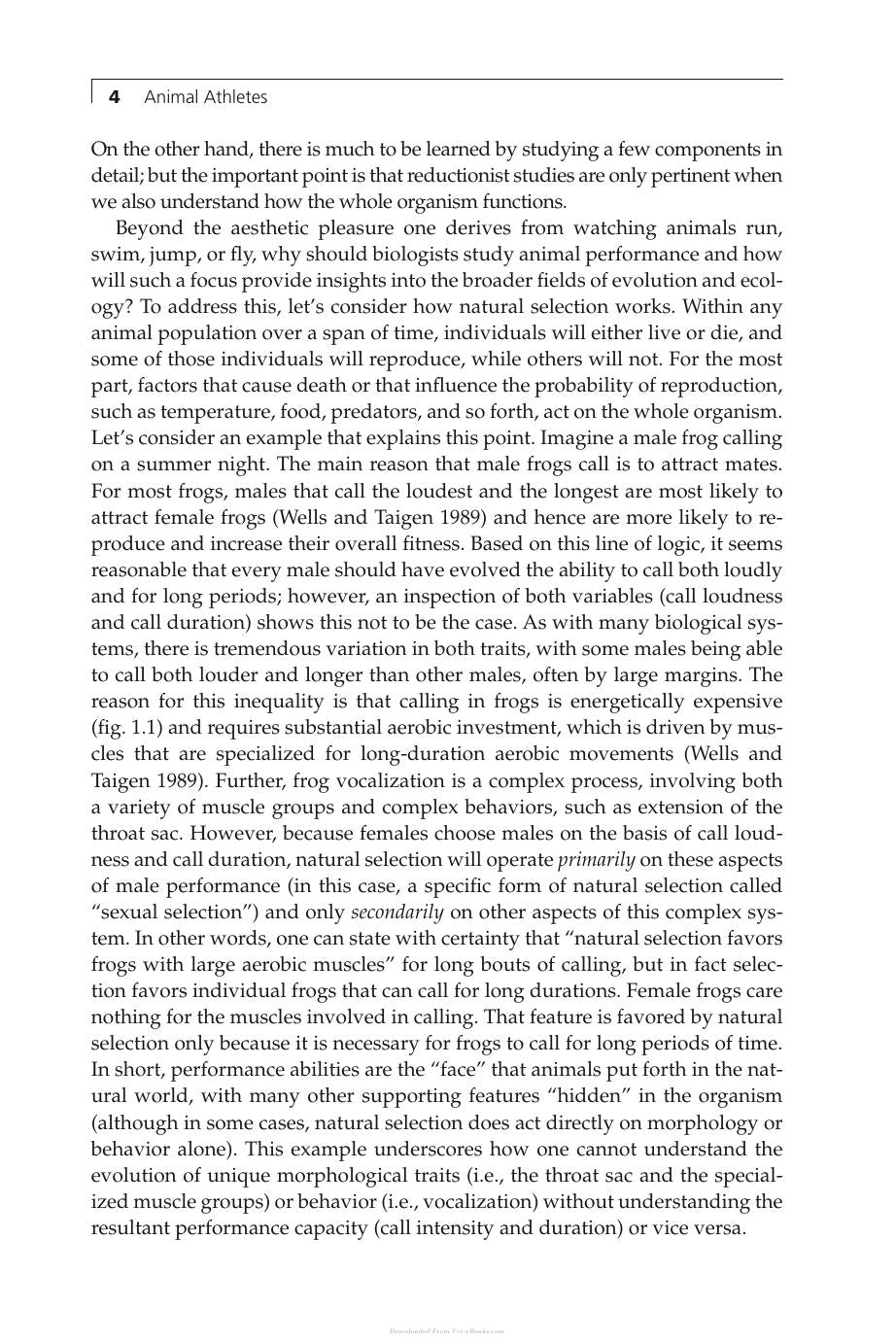 Animal Athletes An Ecological And Evolutionary Approach