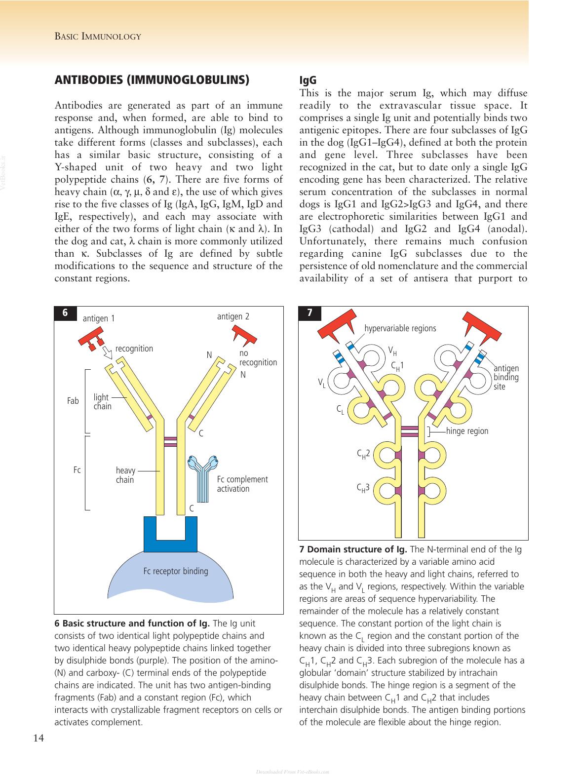 Clinical Immunology Of The Dog And Cat 2nd Edition