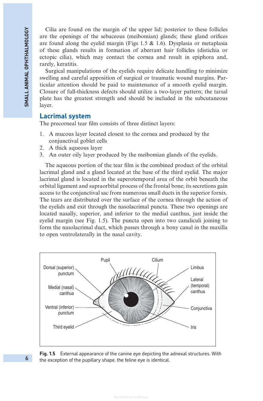 Small Animal Ophthalmology 4Th Edition