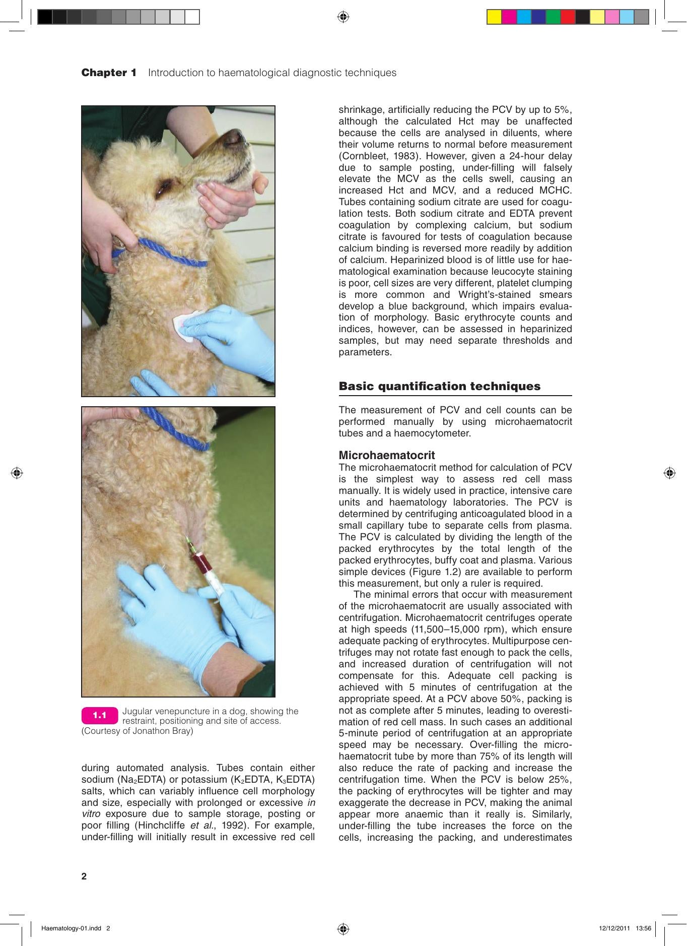 Bsava Manual of Canine and Feline Haematology and Transfusion Medicine