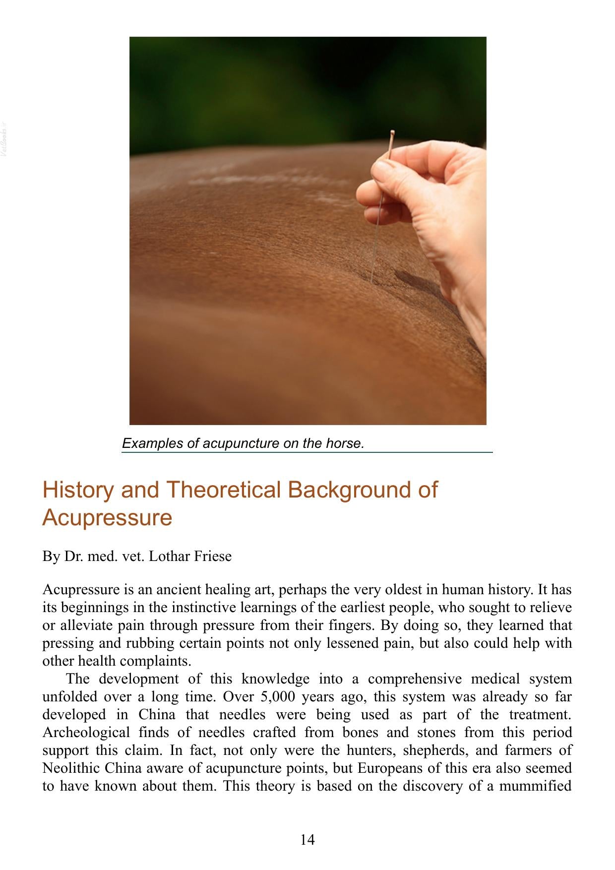 Acupressure for Horses Hands on Techniques to Solve Performance Problems and Ease Pain and Discomfort Pdf