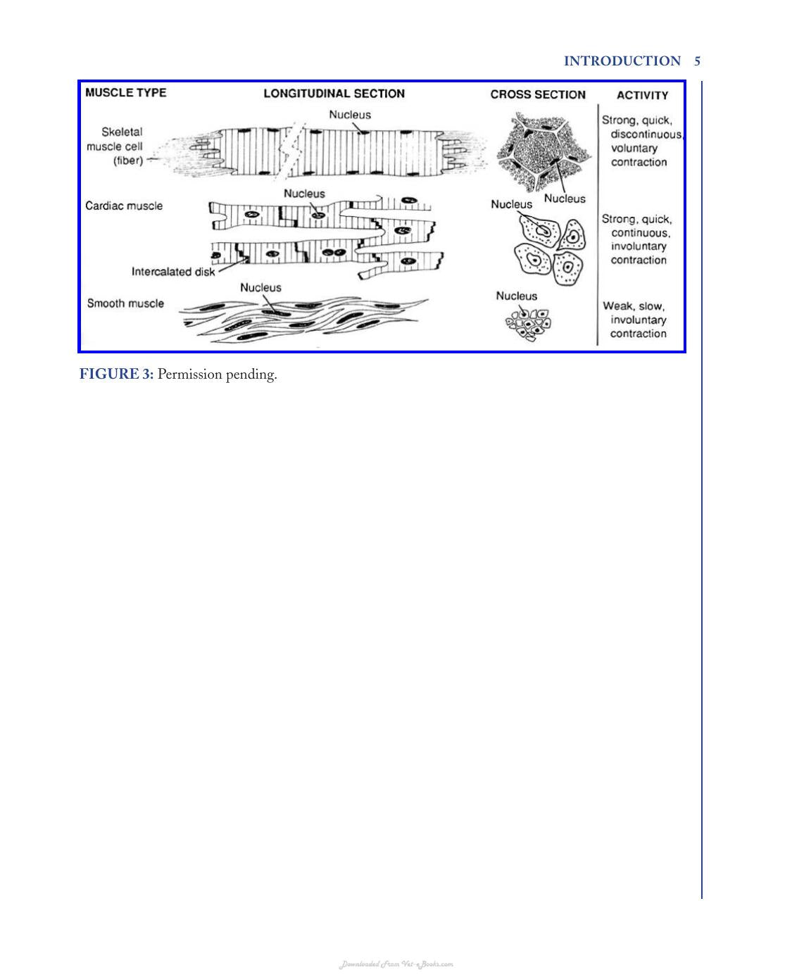 Skeletal Muscle and Muscular Dystrophy a Visual Approach